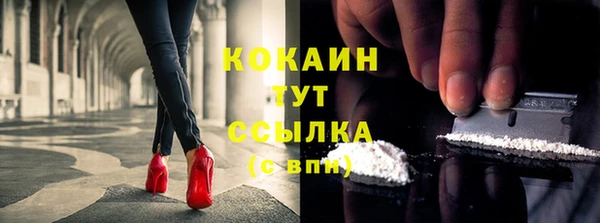 mdpv Киреевск